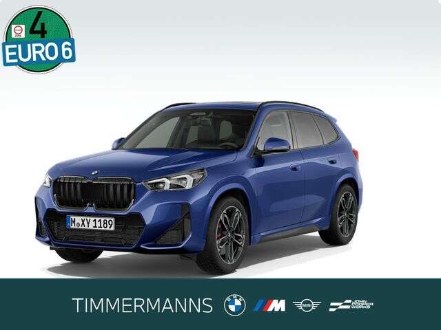 BMW X1 (Bild 1/5)