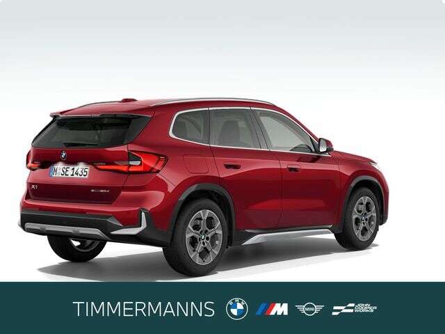 BMW X1 (Bild 5/5)