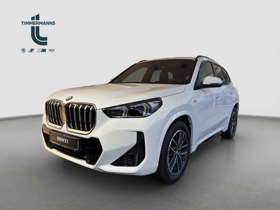 BMW X1 (Bild 1/2)