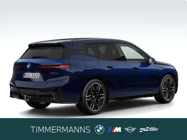 BMW iX (Bild 5/5)