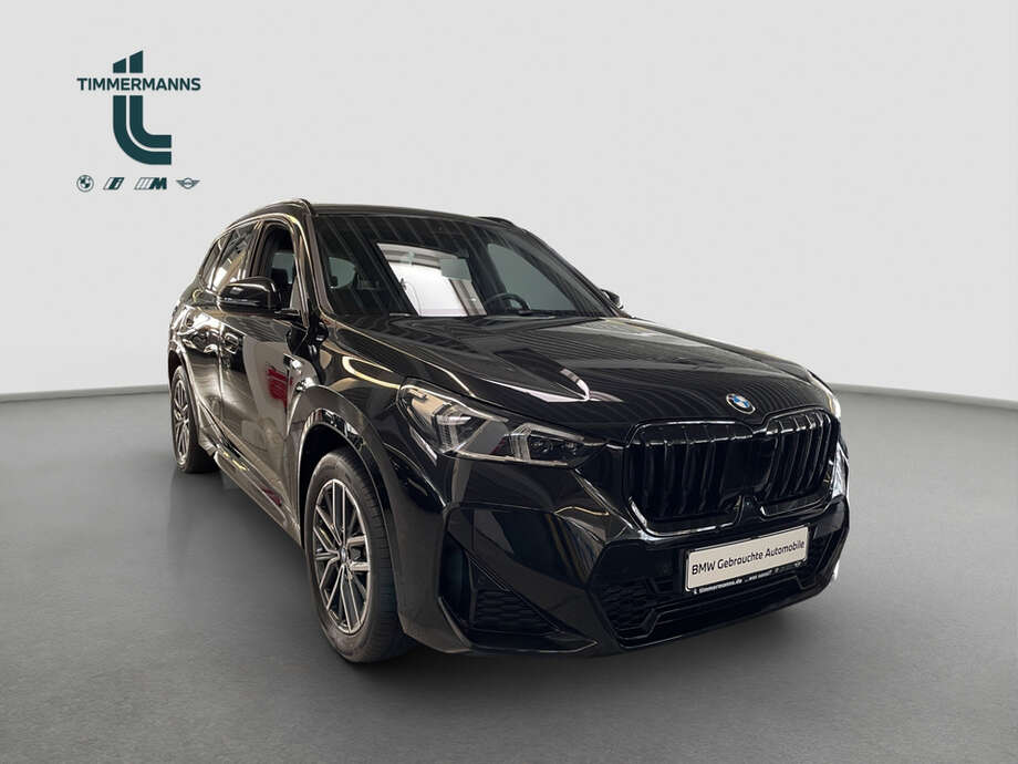 BMW X1 (Bild 10/13)