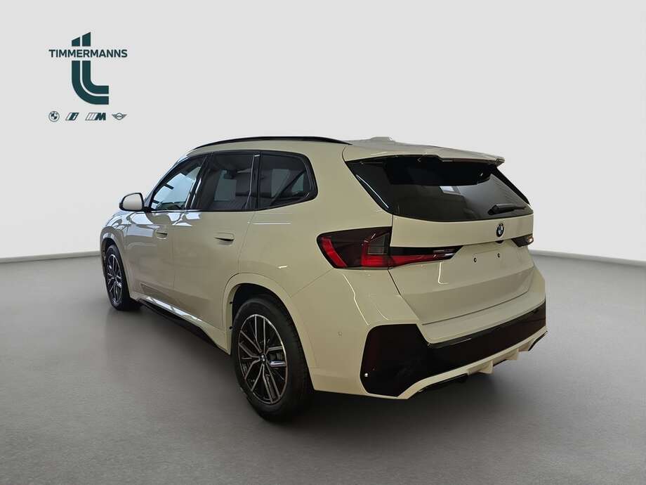 BMW X1 (Bild 12/18)