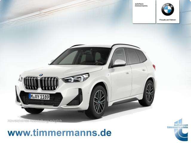BMW X1 (Bild 1/5)