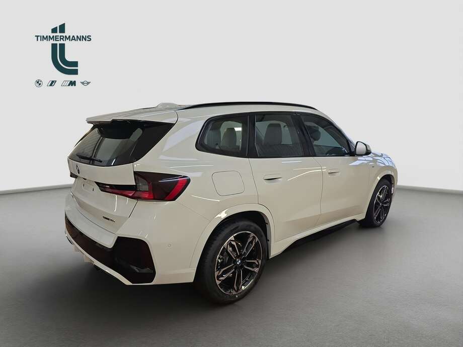 BMW X1 (Bild 14/18)