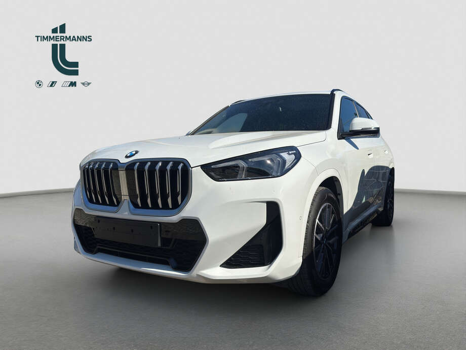 BMW X1 (Bild 1/20)