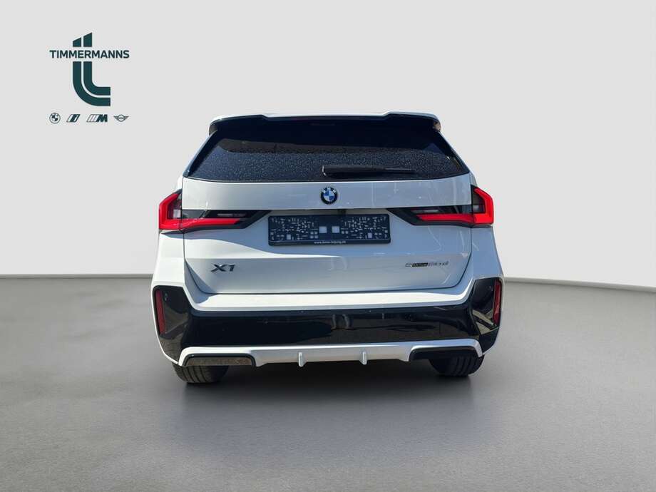 BMW X1 (Bild 6/20)