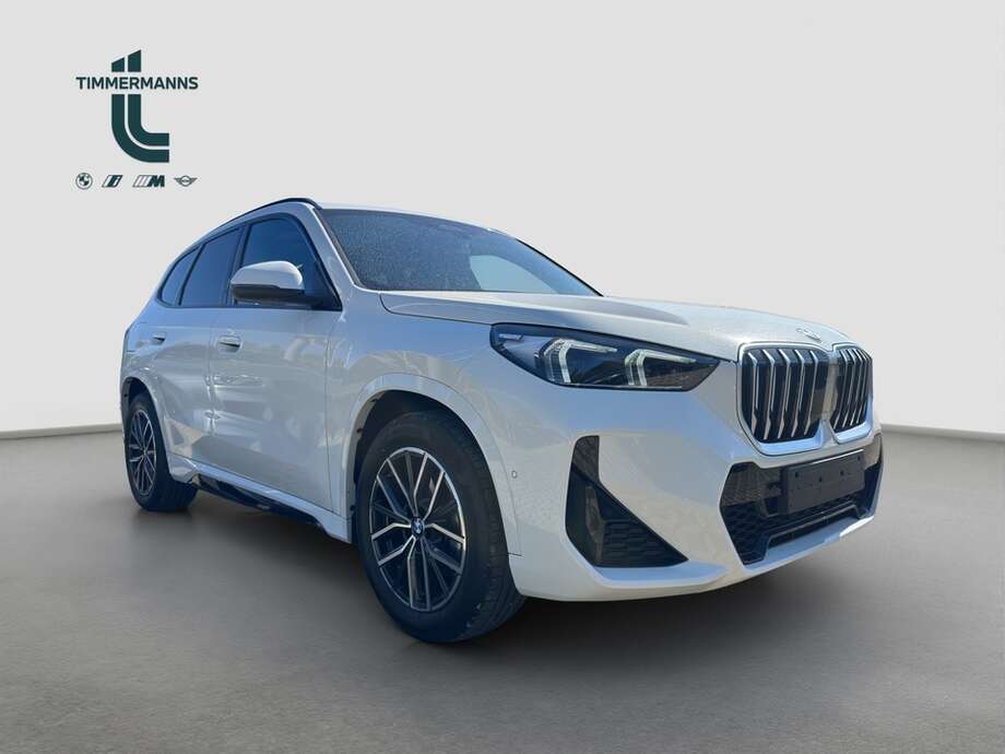BMW X1 (Bild 9/20)