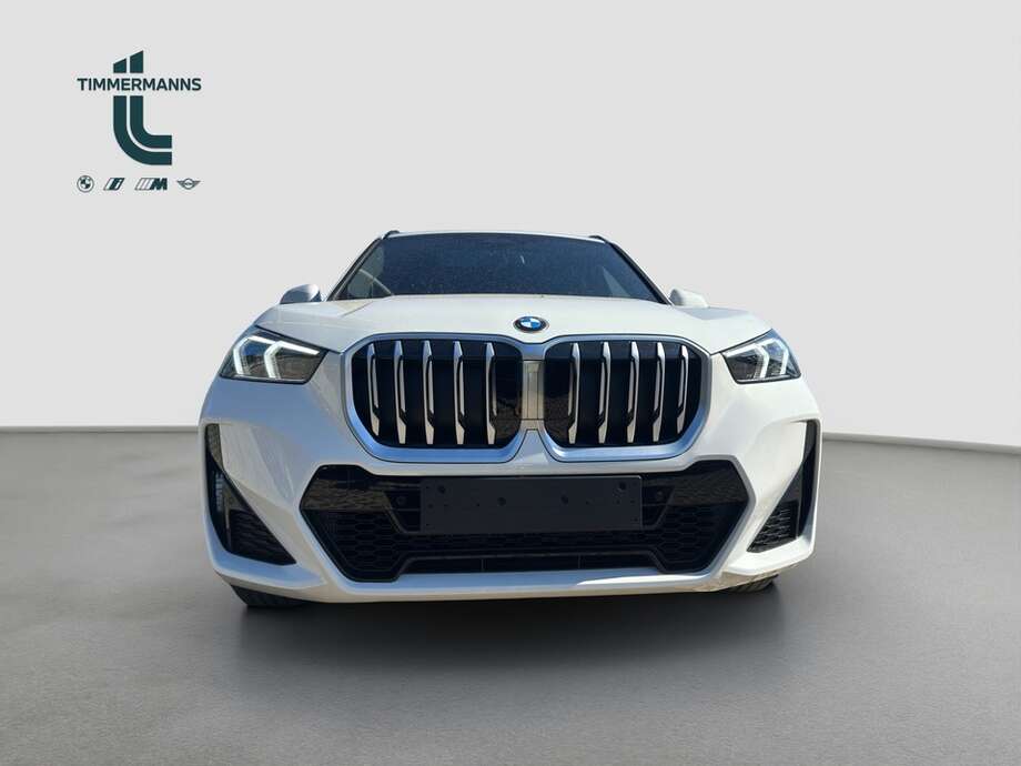 BMW X1 (Bild 10/20)