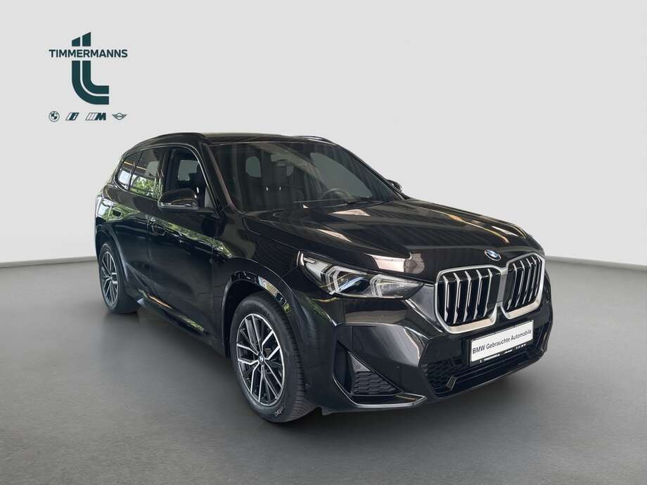 BMW X1 (Bild 15/17)