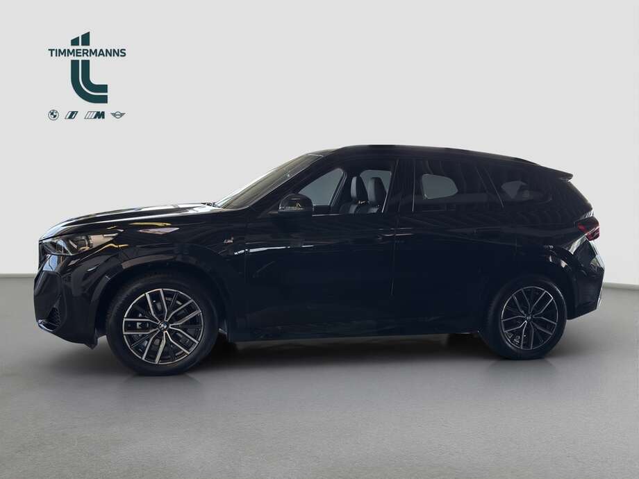 BMW X1 (Bild 6/15)