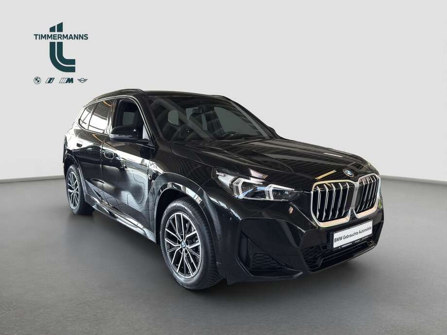 BMW X1 (Bild 11/15)