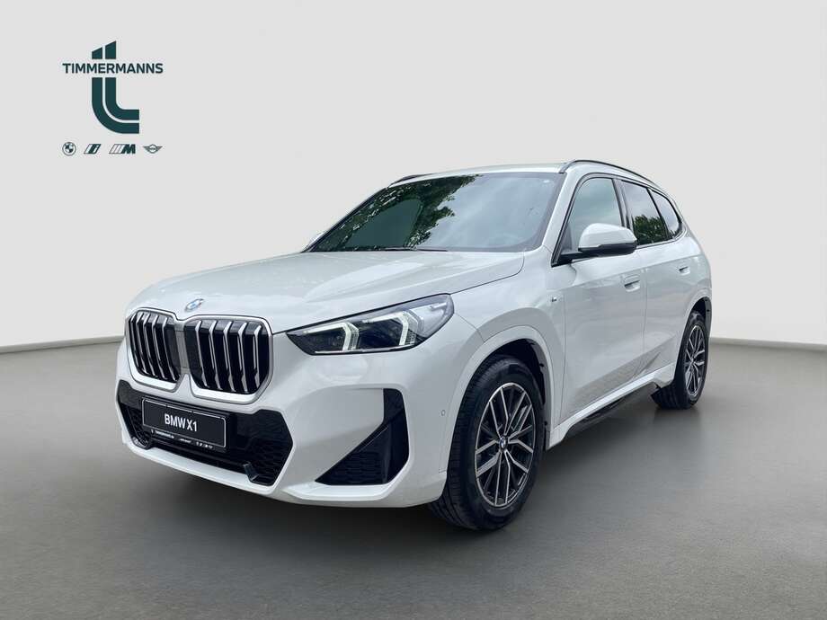 BMW X1 (Bild 1/15)
