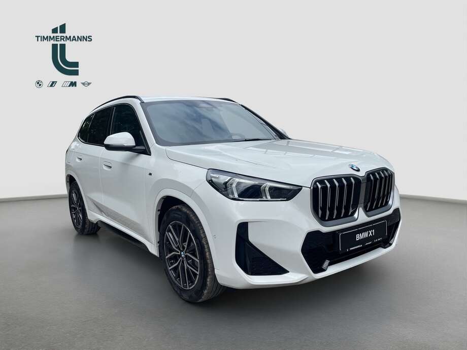 BMW X1 (Bild 13/15)