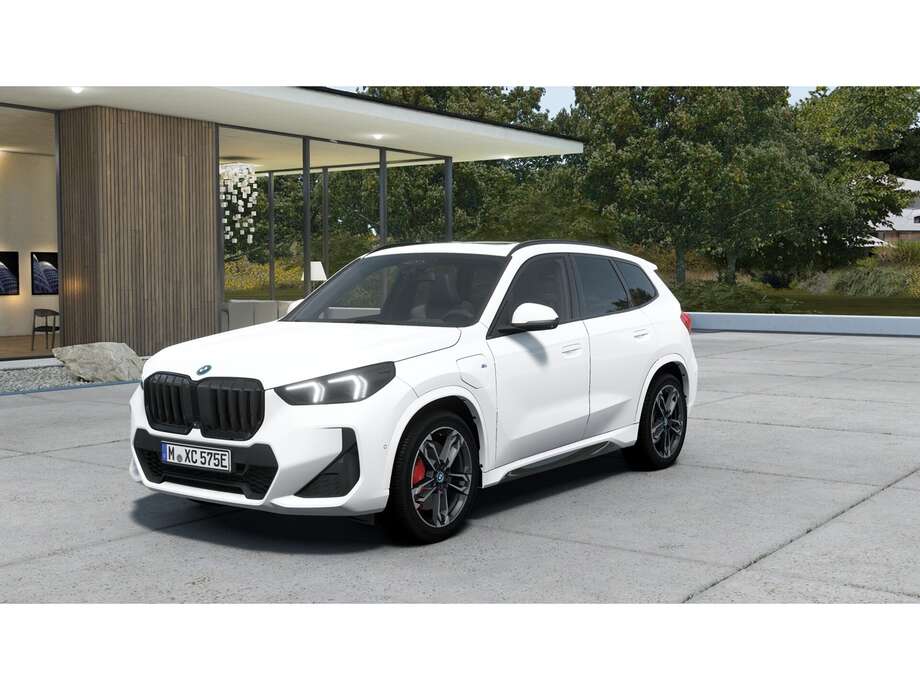 BMW X1 (Bild 1/2)