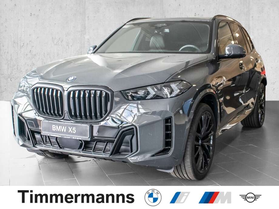 BMW X5 (Bild 1/18)