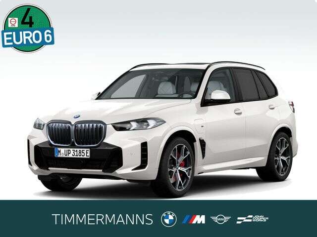 BMW X5 (Bild 1/5)
