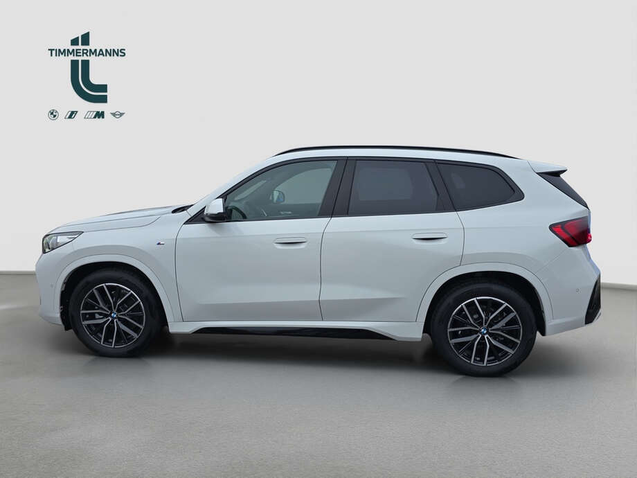 BMW X1 (Bild 4/11)