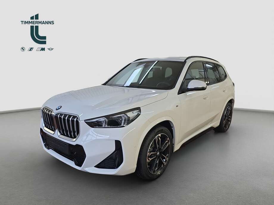 BMW X1 (Bild 17/18)