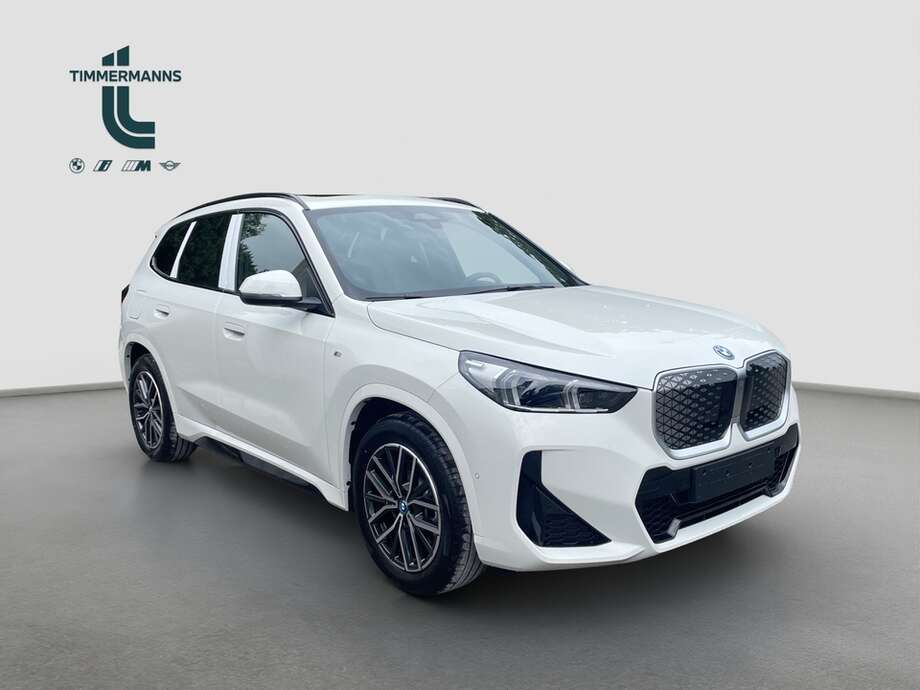 BMW iX1 xDrive30 (Bild 13/16)