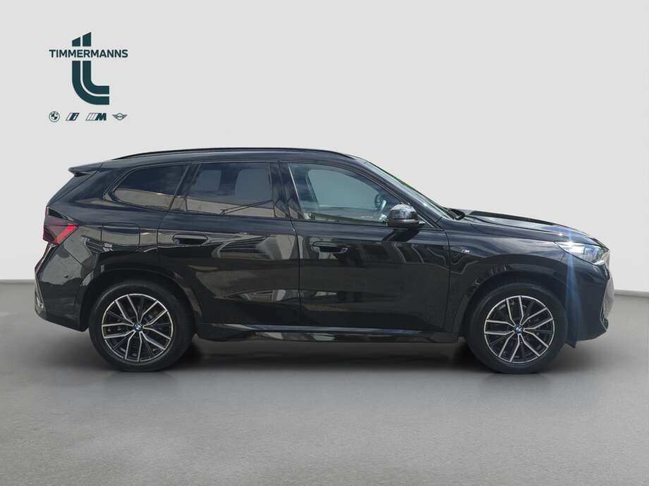 BMW X1 (Bild 10/18)
