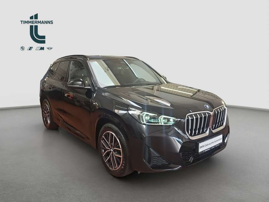 BMW X1 (Bild 11/18)