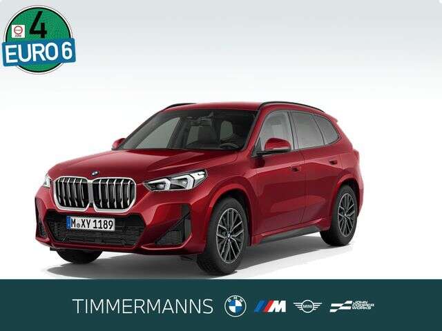 BMW X1 (Bild 1/5)