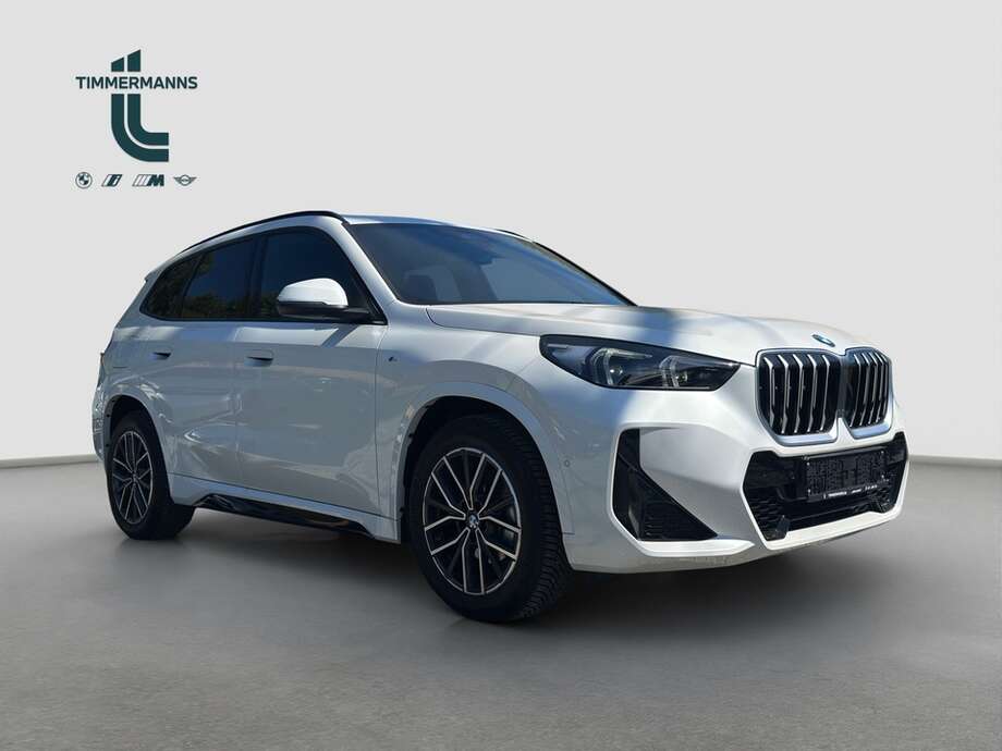 BMW X1 (Bild 17/19)