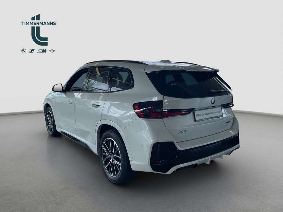 BMW X1 (Bild 7/13)