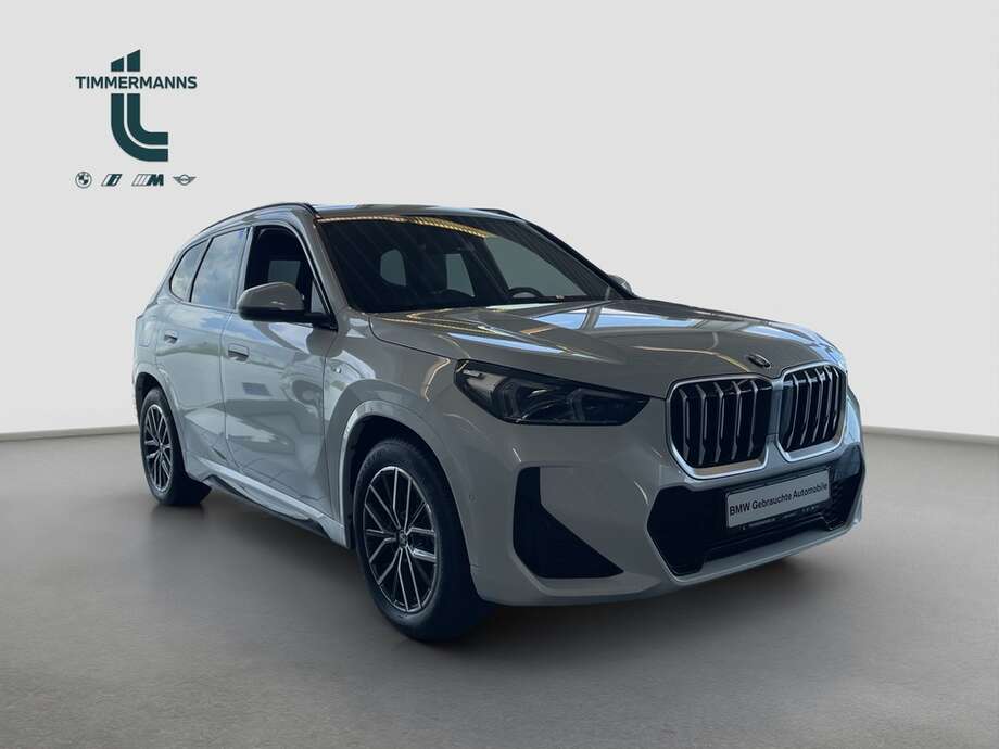 BMW X1 (Bild 11/13)