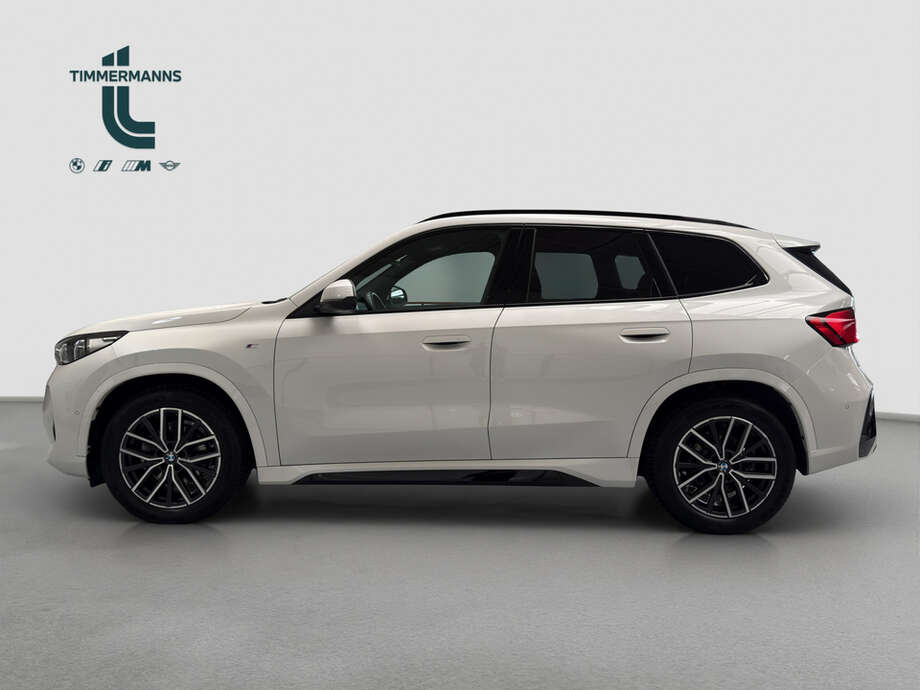 BMW X1 (Bild 8/15)
