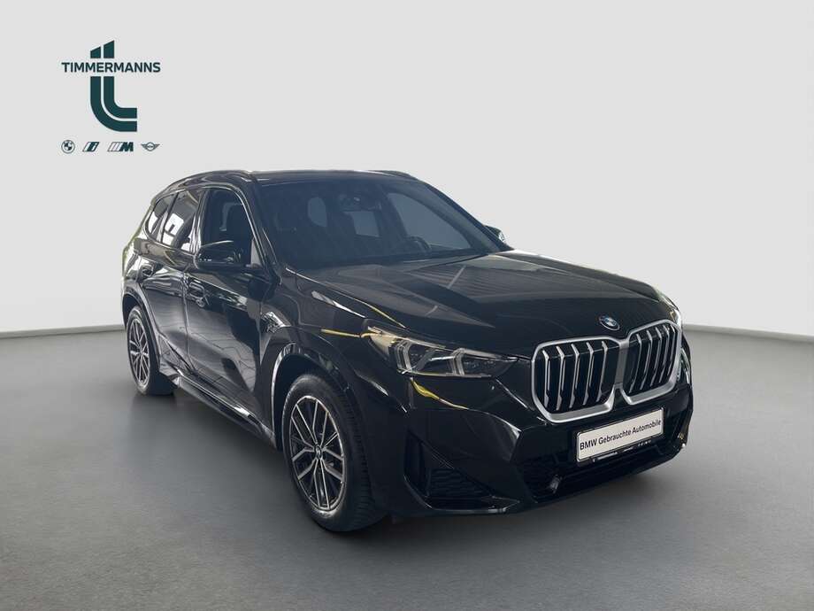 BMW X1 (Bild 11/15)