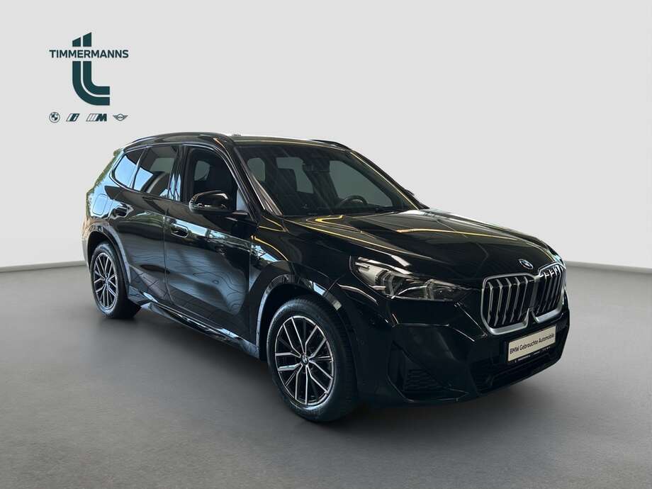 BMW X1 (Bild 11/15)
