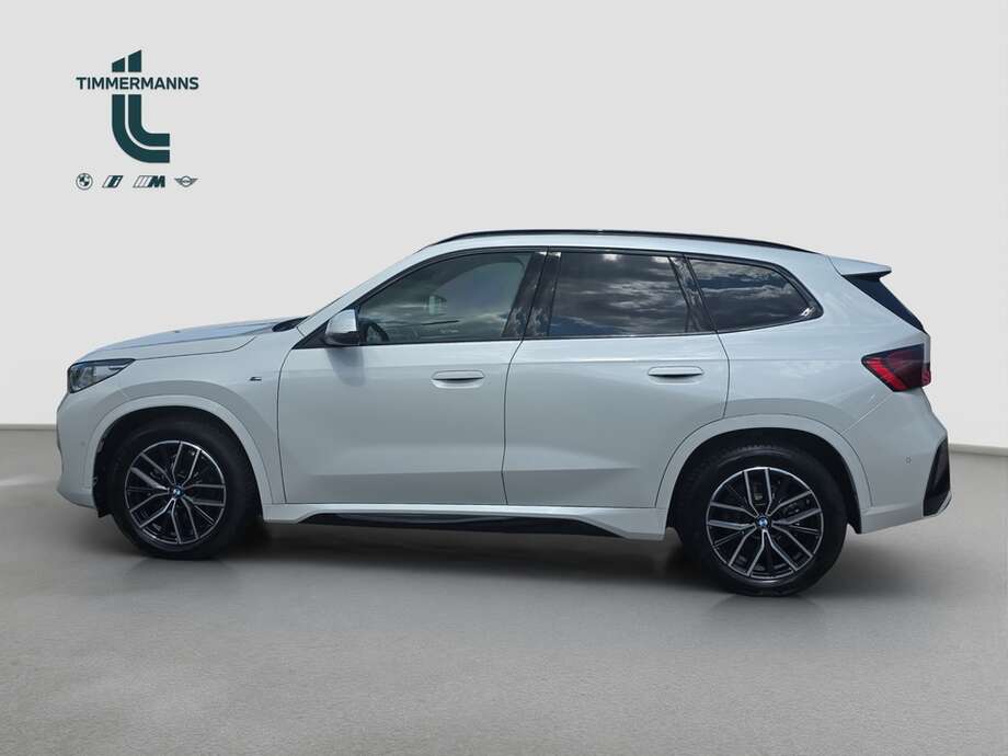 BMW X1 (Bild 11/18)