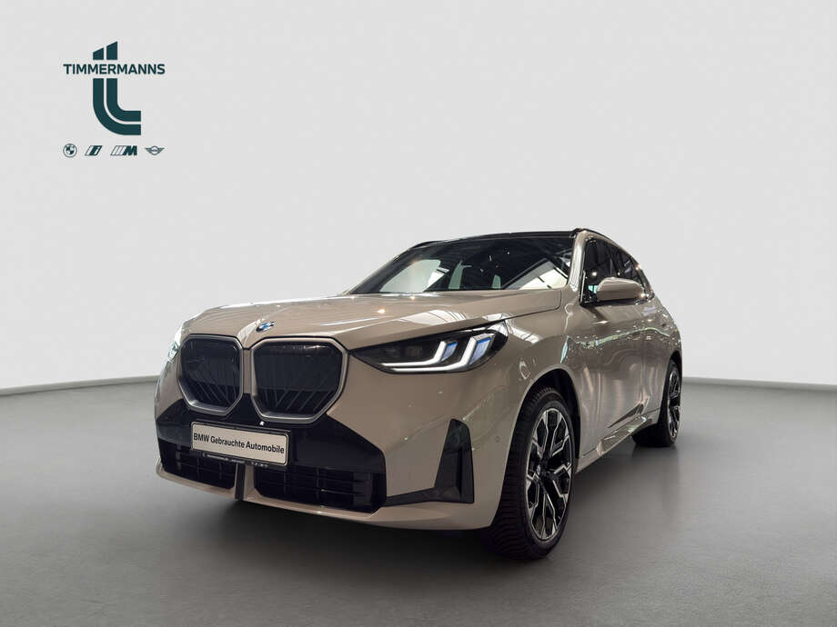 BMW X3 (Bild 1/16)