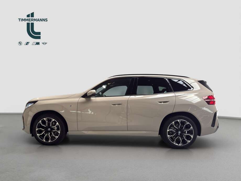 BMW X3 (Bild 2/16)
