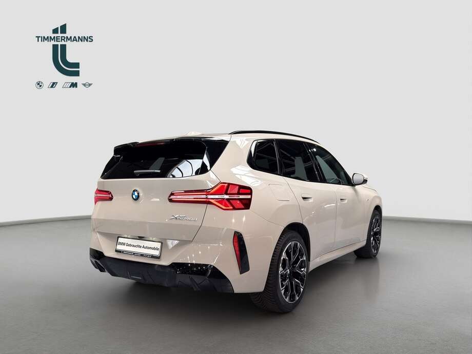 BMW X3 (Bild 6/16)