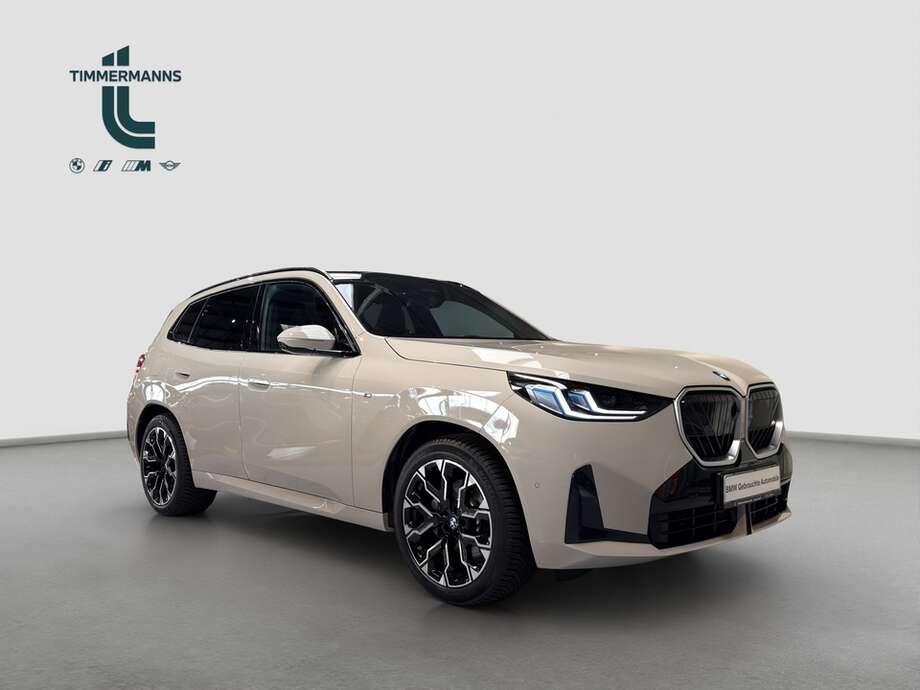 BMW X3 (Bild 8/16)