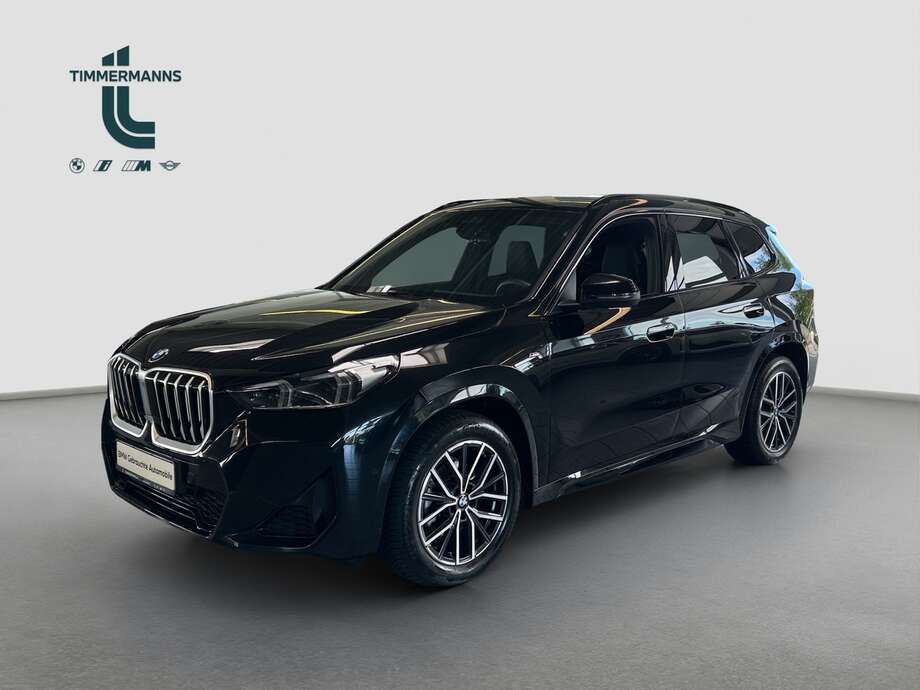 BMW X1 (Bild 1/2)