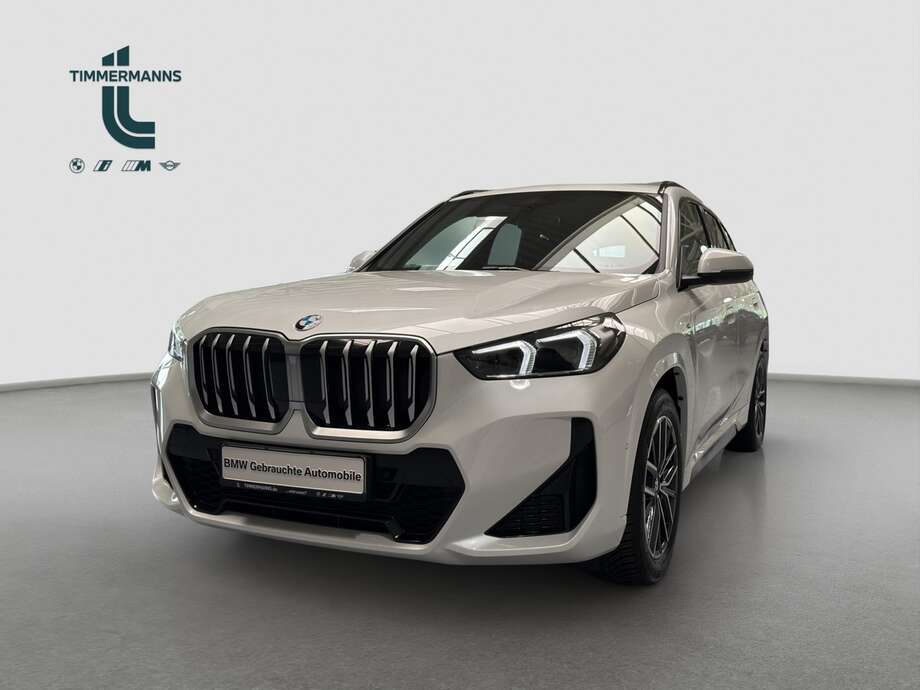 BMW X1 (Bild 1/15)
