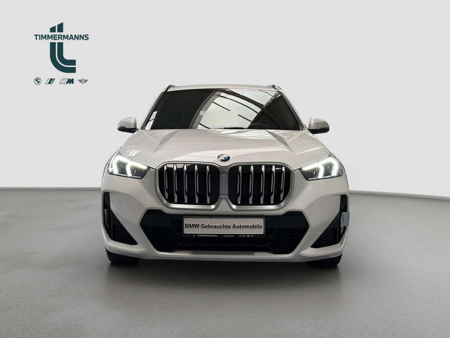 BMW X1 (Bild 14/15)