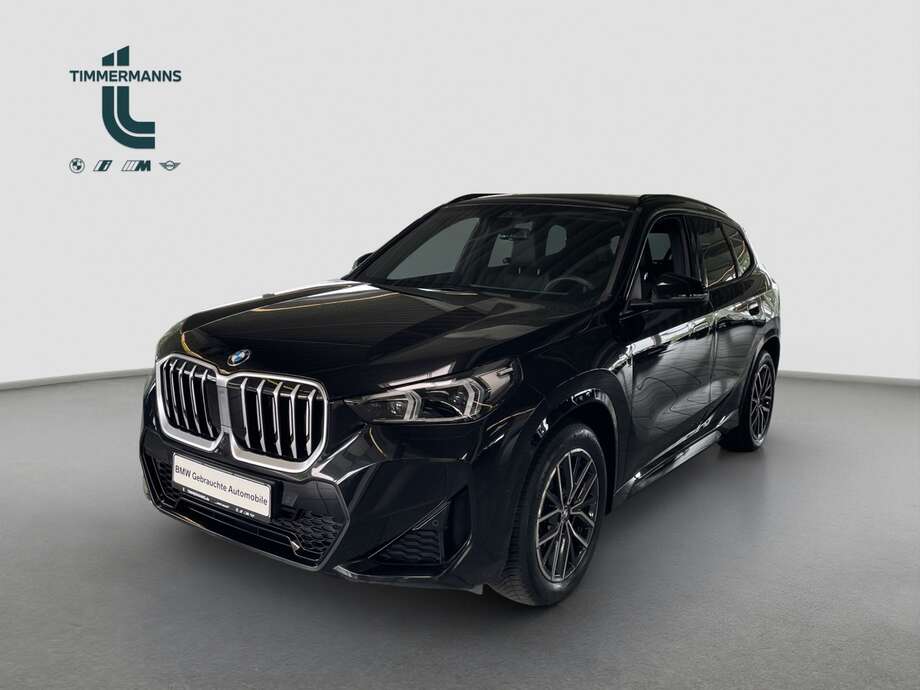 BMW X1 (Bild 1/17)