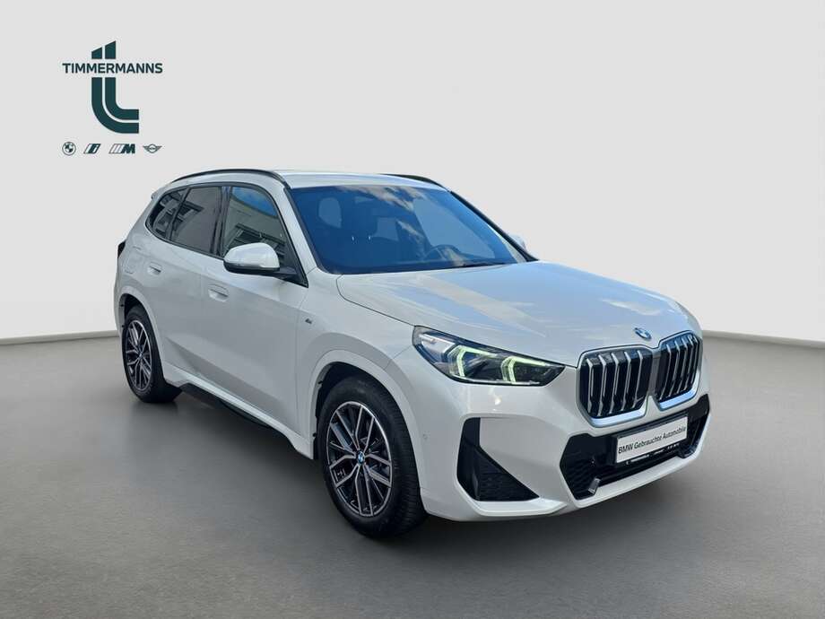 BMW X1 (Bild 16/18)