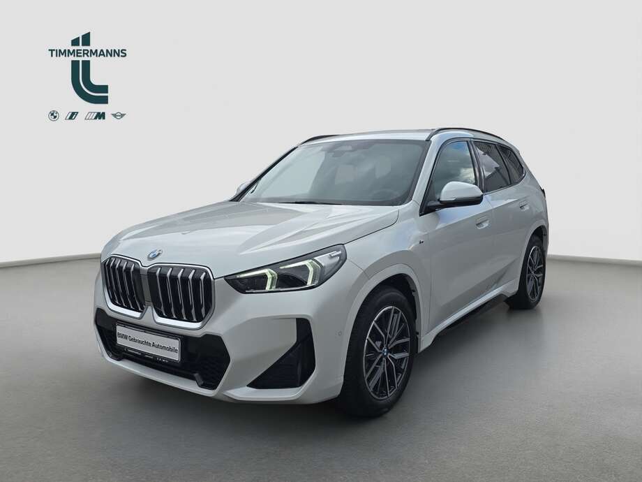 BMW X1 (Bild 1/18)