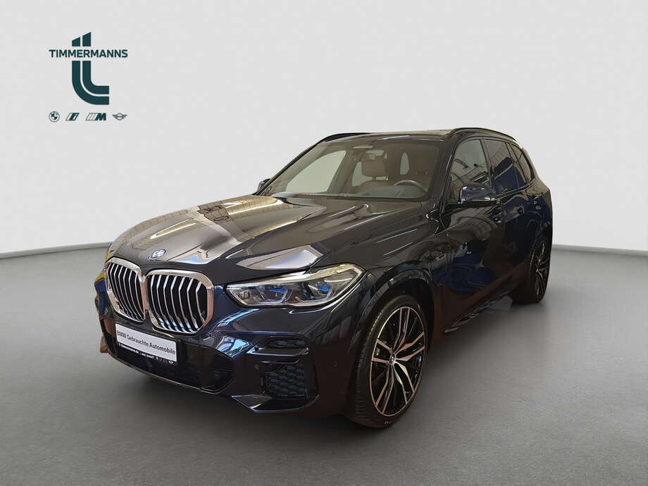 BMW X5 (Bild 1/20)