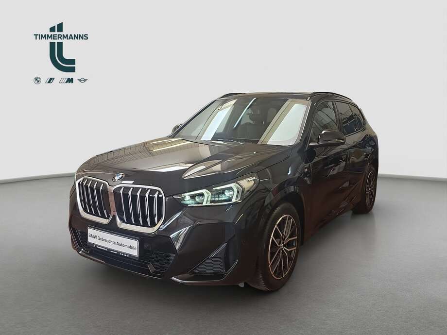 BMW X1 (Bild 1/18)