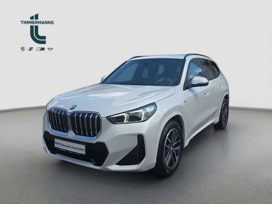 BMW X1 (Bild 1/18)