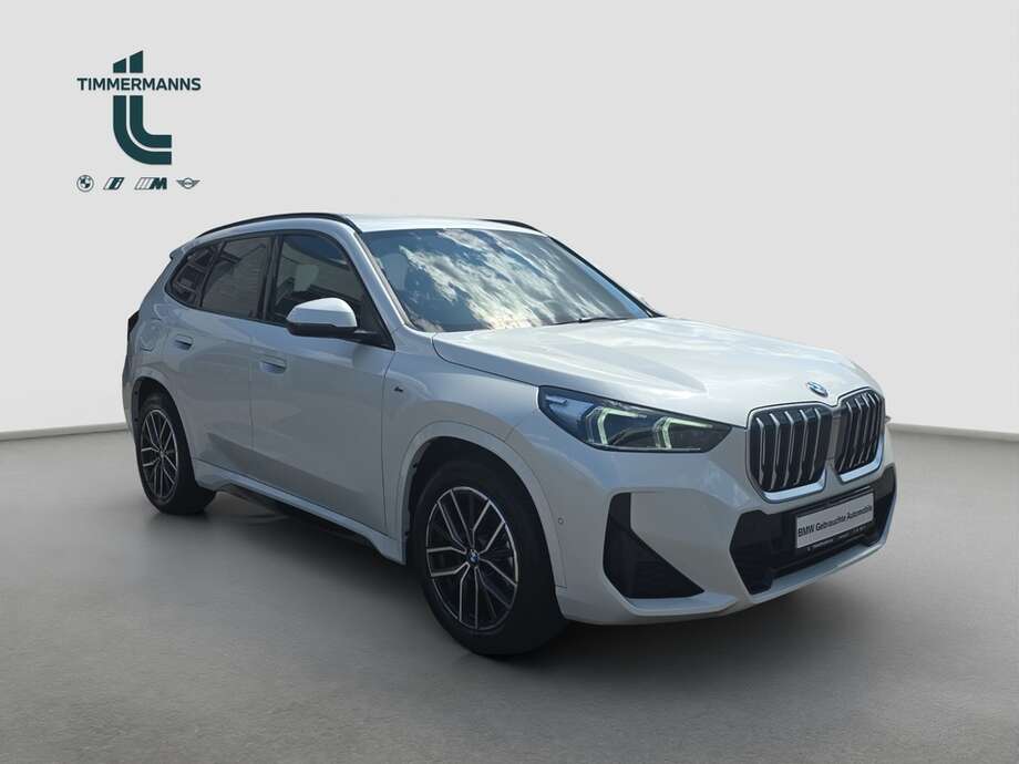 BMW X1 (Bild 16/18)