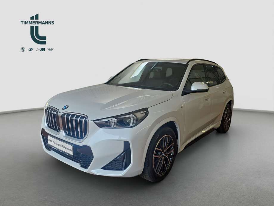 BMW X1 (Bild 1/18)