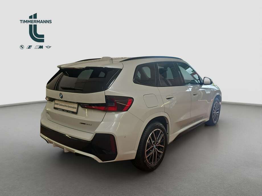 BMW X1 (Bild 14/18)