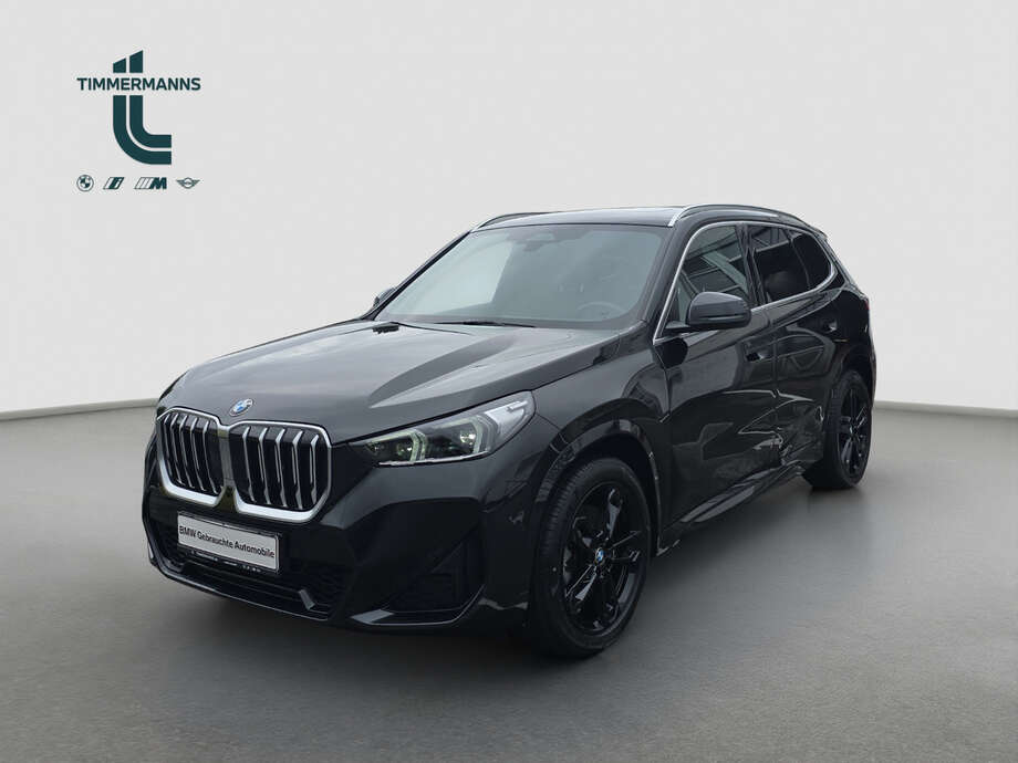 BMW X1 (Bild 1/18)